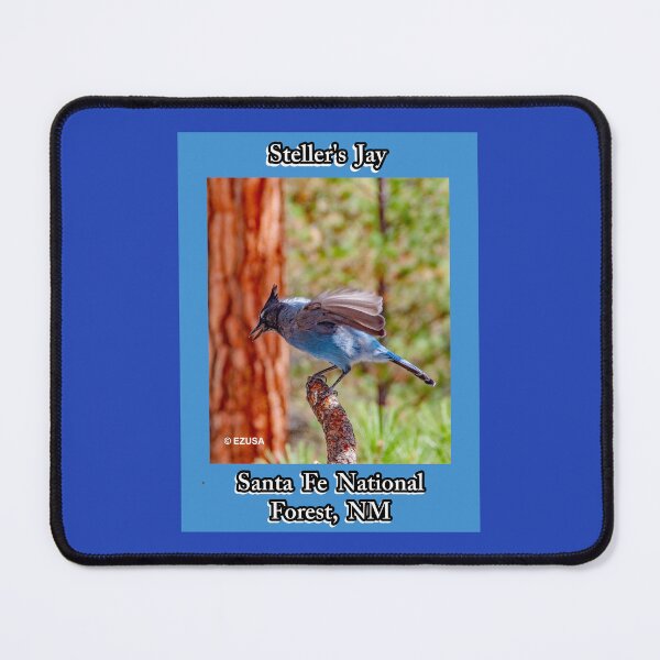 Item preview, The Perfect Gift For A Bird Lover: Steller's Jay, Santa Fe National Forest, New Mexico. designed and sold by MoreEZUSA-Here.