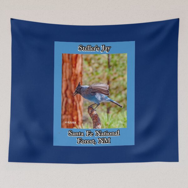 Item preview, The Perfect Gift For A Bird Lover: Steller's Jay, Santa Fe National Forest, New Mexico. designed and sold by MoreEZUSA-Here.