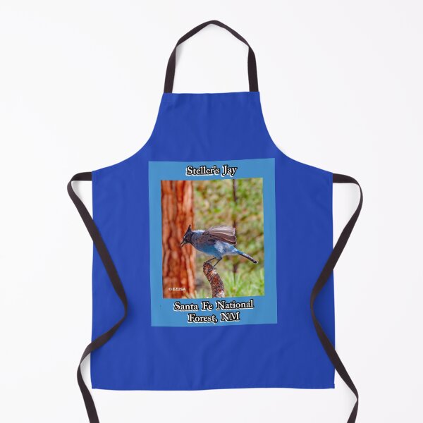 Item preview, The Perfect Gift For A Bird Lover: Steller's Jay, Santa Fe National Forest, New Mexico. designed and sold by MoreEZUSA-Here.