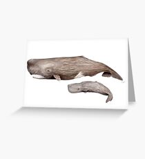 Sperm whale Greeting Card