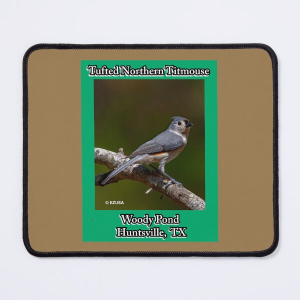 Item preview, For The Bird Lover In You: Tufted (Northern) Titmouse, Woody Pond, Huntsville, Texas. designed and sold by MoreEZUSA-Here.