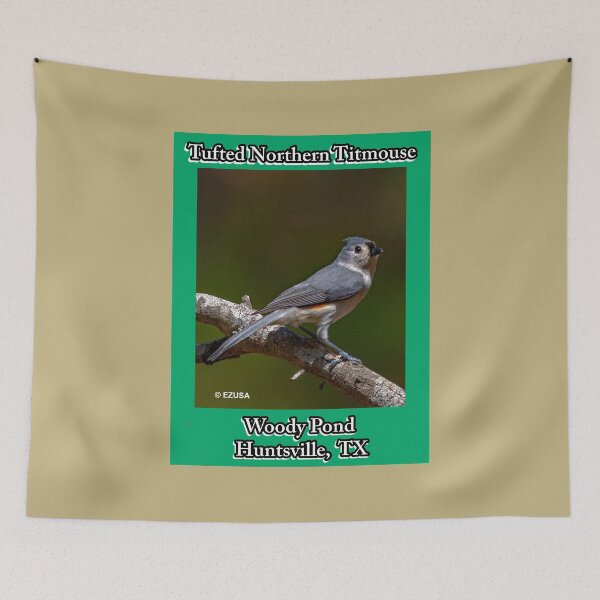 Item preview, For The Bird Lover In You: Tufted (Northern) Titmouse, Woody Pond, Huntsville, Texas. designed and sold by MoreEZUSA-Here.