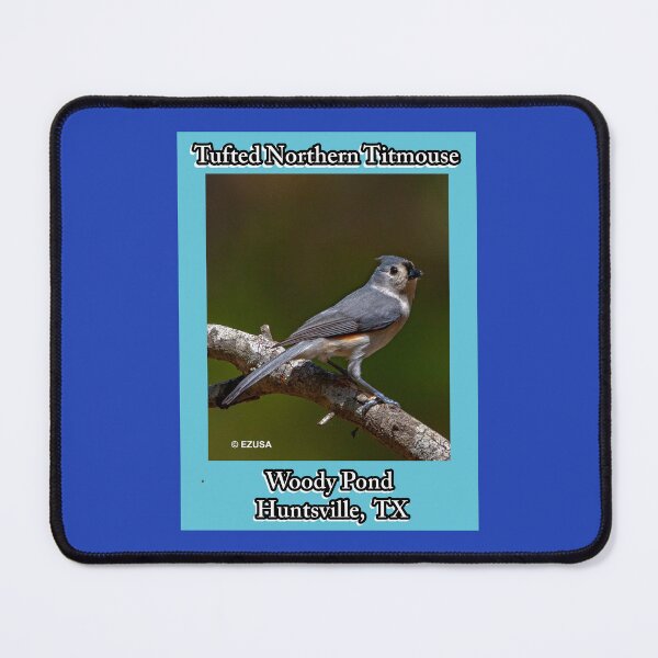 Item preview, Give The Bird To Your Lover: Tufted (Northern) Titmouse, Woody Pond, Huntsville, Texas. designed and sold by MoreEZUSA-Here.