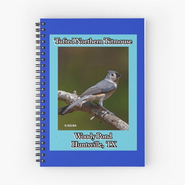 Item preview, Give The Bird To Your Lover: Tufted (Northern) Titmouse, Woody Pond, Huntsville, Texas. designed and sold by MoreEZUSA-Here.