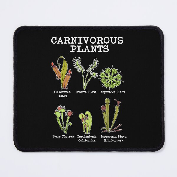 Item preview, Carnivorous Plants Species Saracenia Venus Flytrap designed and sold by DSWShirts.