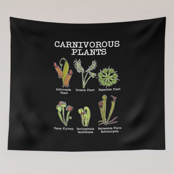 Item preview, Carnivorous Plants Species Saracenia Venus Flytrap designed and sold by DSWShirts.