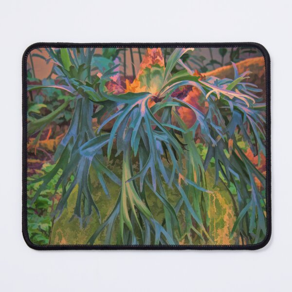 Item preview, Potted Staghorn Fern in Buzsim designed and sold by bertsworks300.