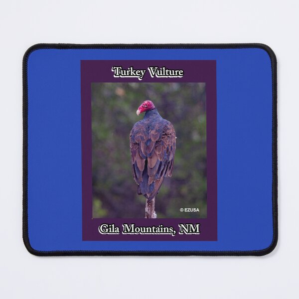 Item preview, Give Someone You Love The Bird: Turkey Vulture, Gila Mountains, New Mexico. designed and sold by MoreEZUSA-Here.