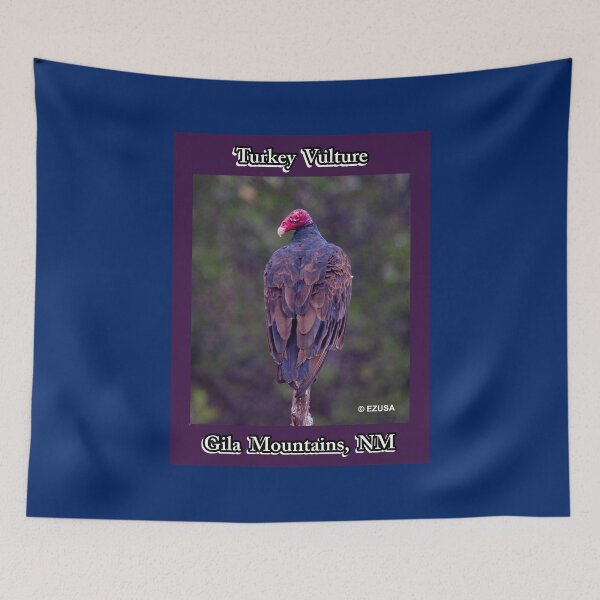 Item preview, Give Someone You Love The Bird: Turkey Vulture, Gila Mountains, New Mexico. designed and sold by MoreEZUSA-Here.