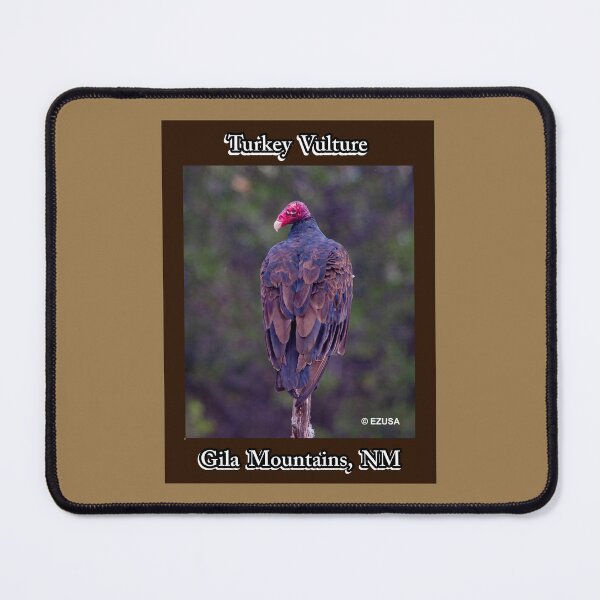 Item preview, The Perfect Gift For A Bird Lover: Turkey Vulture, Gila Mountains, New Mexico. designed and sold by MoreEZUSA-Here.