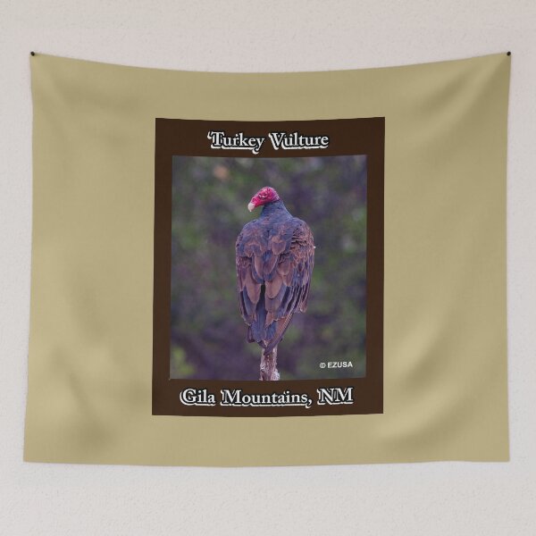 Item preview, The Perfect Gift For A Bird Lover: Turkey Vulture, Gila Mountains, New Mexico. designed and sold by MoreEZUSA-Here.