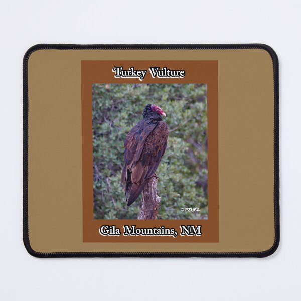 Item preview, For The Bird Lover In You: Turkey Vulture, Gila Mountains, New Mexico. designed and sold by MoreEZUSA-Here.