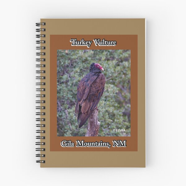 Item preview, For The Bird Lover In You: Turkey Vulture, Gila Mountains, New Mexico. designed and sold by MoreEZUSA-Here.