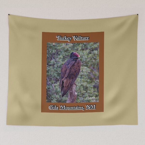 Item preview, For The Bird Lover In You: Turkey Vulture, Gila Mountains, New Mexico. designed and sold by MoreEZUSA-Here.