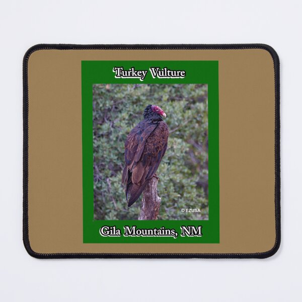 Item preview, Give The Bird To Your Lover: Turkey Vulture, Gila Mountains, New Mexico. designed and sold by MoreEZUSA-Here.