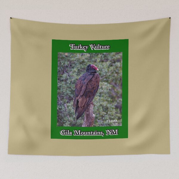 Item preview, Give The Bird To Your Lover: Turkey Vulture, Gila Mountains, New Mexico. designed and sold by MoreEZUSA-Here.