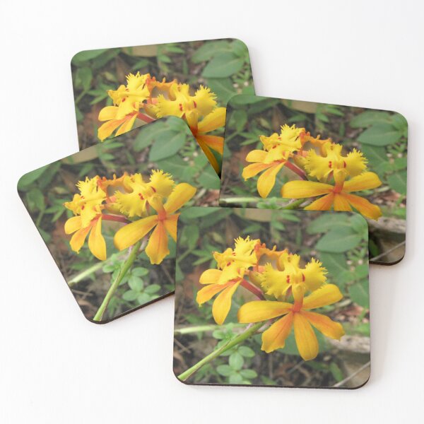 Item preview, Natures FLOWER GARDENING FAMILY, MOM DAD, GIFT designed and sold by carlos crane.