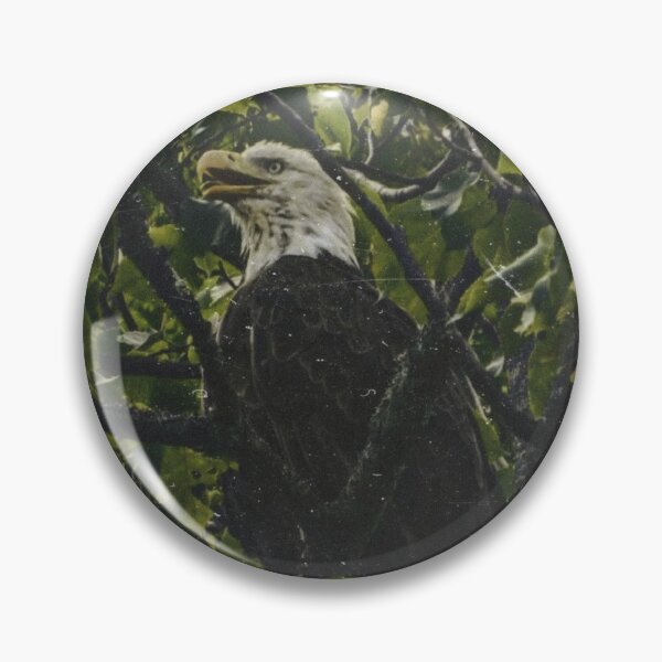 Item preview, Bald eagle  designed and sold by mkwirfs1994.