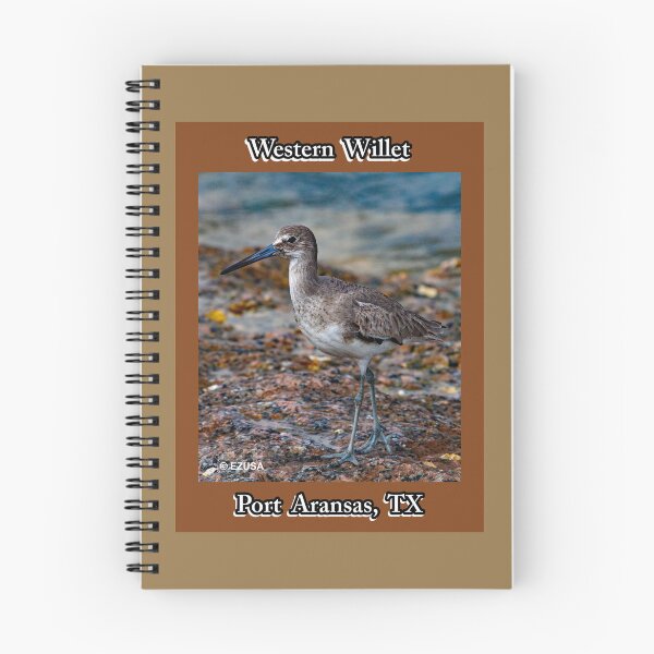 Item preview, Give Someone You Love The Bird: Western Willet, Roberts Point, Port Aransas, Texas. designed and sold by MoreEZUSA-Here.