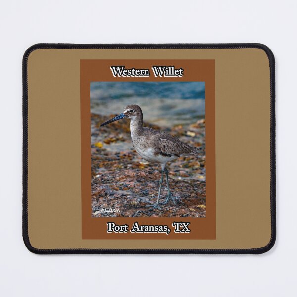 Item preview, Give Someone You Love The Bird: Western Willet, Roberts Point, Port Aransas, Texas. designed and sold by MoreEZUSA-Here.