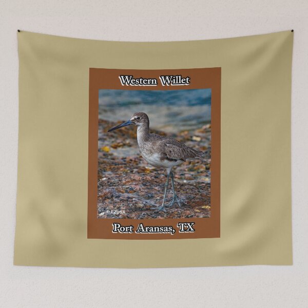 Item preview, Give Someone You Love The Bird: Western Willet, Roberts Point, Port Aransas, Texas. designed and sold by MoreEZUSA-Here.
