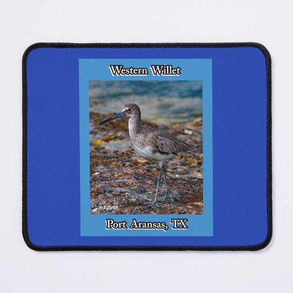 Item preview, The Perfect Gift For A Bird Lover: Western Willet, Roberts Point, Port Aransas, Texas. designed and sold by MoreEZUSA-Here.