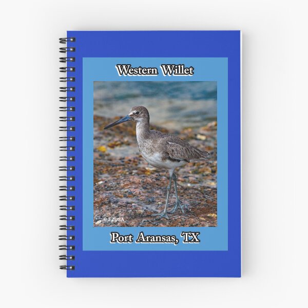 Item preview, The Perfect Gift For A Bird Lover: Western Willet, Roberts Point, Port Aransas, Texas. designed and sold by MoreEZUSA-Here.