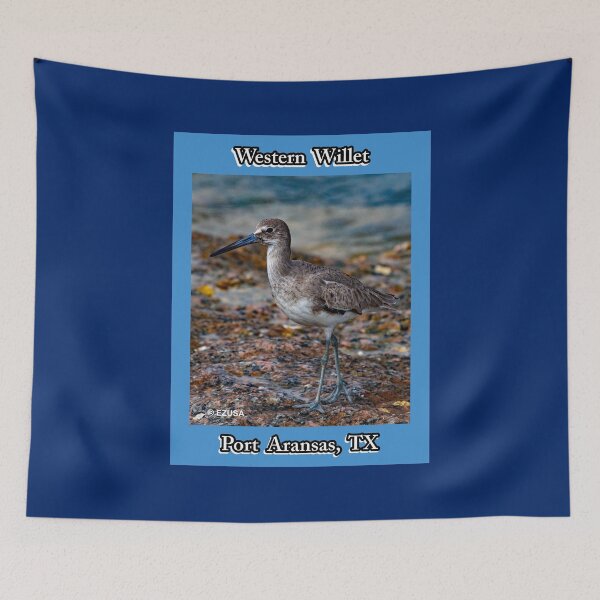 Item preview, The Perfect Gift For A Bird Lover: Western Willet, Roberts Point, Port Aransas, Texas. designed and sold by MoreEZUSA-Here.