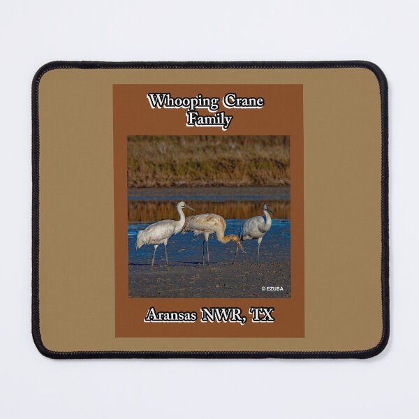 Item preview, For The Bird Lover In You: Whooping Crane Family, Aransas NWR, Aransas County, Texas. designed and sold by MoreEZUSA-Here.