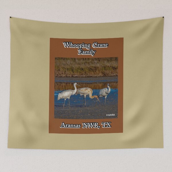 Item preview, For The Bird Lover In You: Whooping Crane Family, Aransas NWR, Aransas County, Texas.  designed and sold by MoreEZUSA-Here.