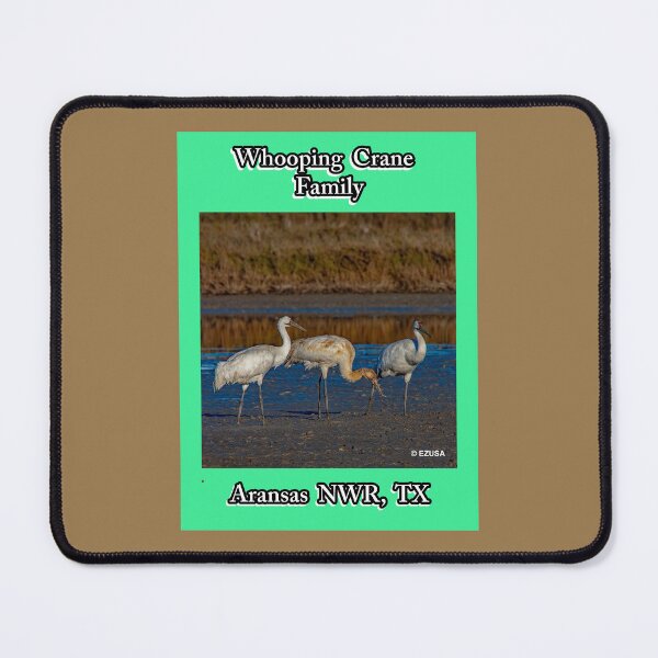 Item preview, Give The Bird To Your Lover: Whooping Crane Family, Aransas NWR, Aransas County, Texas. designed and sold by MoreEZUSA-Here.