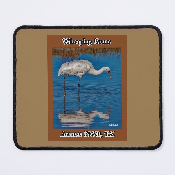 Item preview, Give Someone You Love The Bird: Whooping Crane, Aransas NWR, Aransas County, Texas. designed and sold by MoreEZUSA-Here.