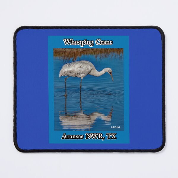 Item preview, The Perfect Gift For A Bird Lover: Whooping Crane, Aransas NWR, Aransas County, Texas. designed and sold by MoreEZUSA-Here.