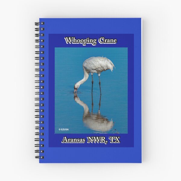 Item preview, For The Bird Lover In You: Whooping Crane, Aransas NWR, Aransas County, Texas. designed and sold by MoreEZUSA-Here.