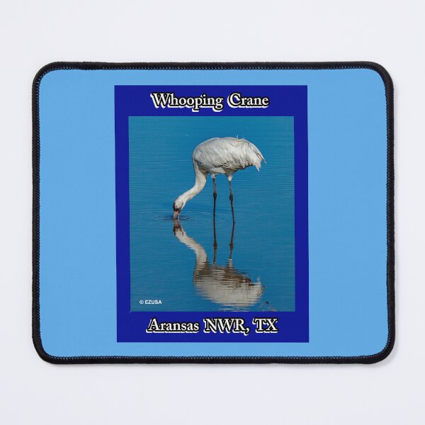 Item preview, For The Bird Lover In You: Whooping Crane, Aransas NWR, Aransas County, Texas. designed and sold by MoreEZUSA-Here.