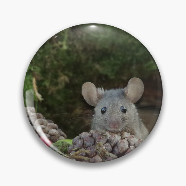 Item preview, sad face mouse and pine cones designed and sold by Simon-dell.