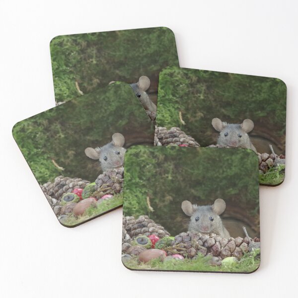 Item preview, sad face mouse and pine cones designed and sold by Simon-dell.