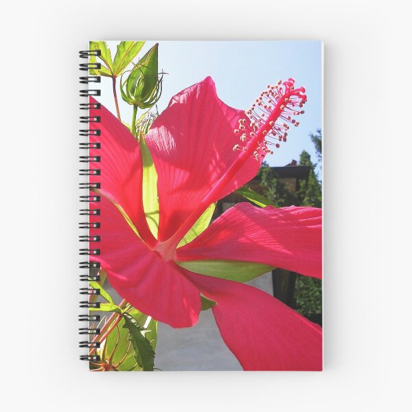 Item preview, Hibiscus designed and sold by lezvee.