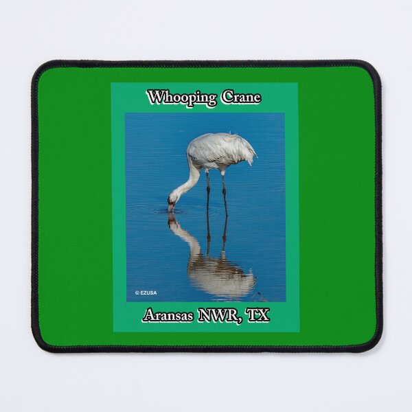 Item preview, Give The Bird To Your Lover: Whooping Crane, Aransas NWR, Aransas County, Texas. designed and sold by MoreEZUSA-Here.