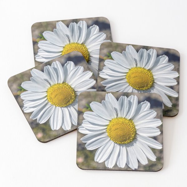 Item preview, Common Daisy Macro Image designed and sold by Tom McPherson Photography.