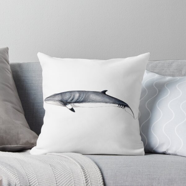 Item preview, Minke whale designed and sold by chloeyzoard.