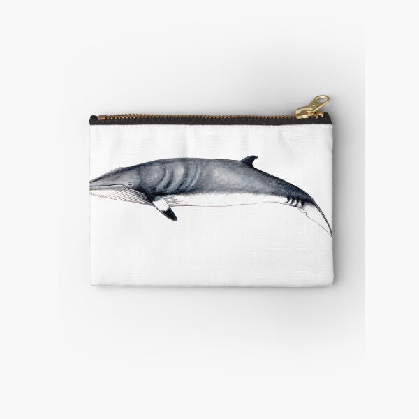 Item preview, Minke whale designed and sold by chloeyzoard.