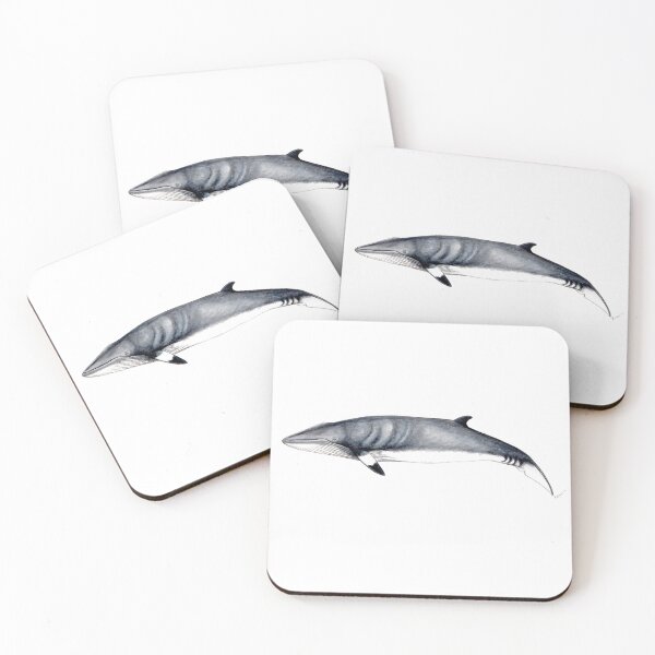 Item preview, Minke whale designed and sold by chloeyzoard.
