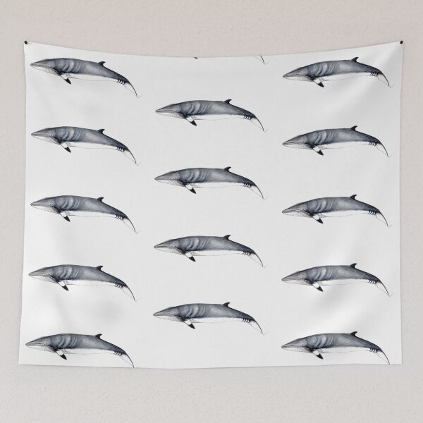 Item preview, Minke whale designed and sold by chloeyzoard.