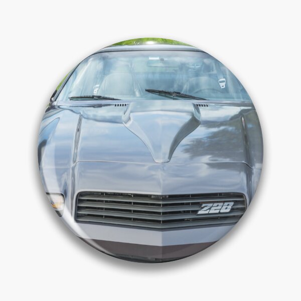 Item preview, 1980 Gray Camaro Z28 X101 designed and sold by RichFrancoCars.