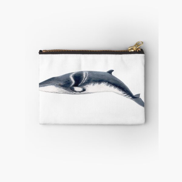 Item preview, Baby Minke whale  designed and sold by chloeyzoard.
