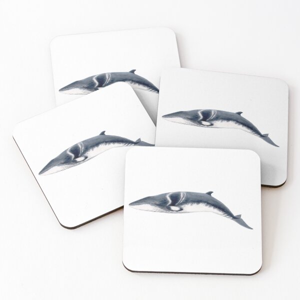 Item preview, Baby Minke whale  designed and sold by chloeyzoard.