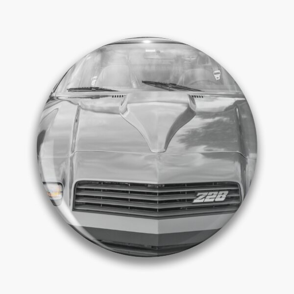 Item preview, 1980 Gray Camaro Z28 X101 designed and sold by RichFrancoCars.