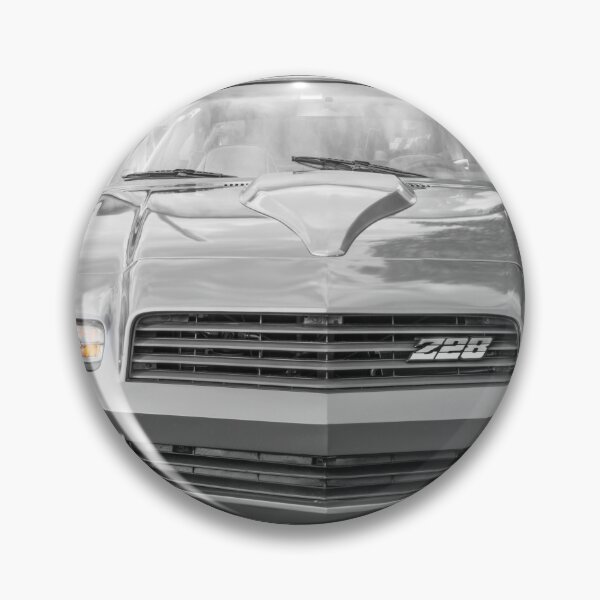 Item preview, 1980 Gray Camaro Z28 X102 designed and sold by RichFrancoCars.