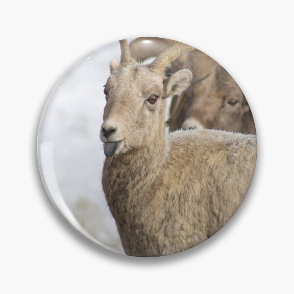 Item preview, Bighorn Ewe Being Sassy designed and sold by AnnahDetwiler.